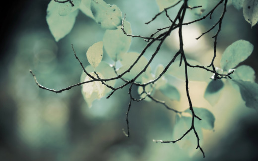 850502 (a): :2560x1600